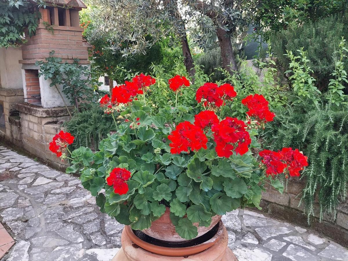 דירות סנטה לוצ'ה Casa Di Giulia מראה חיצוני תמונה